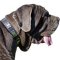 War Leather Canine Collar for Mastino Napoletano Breed