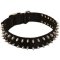 Cane Corso Waterproof Nylon Dog Collar with Spikes
