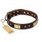 "Rich Fashion" FDT Artisan Decorated Leather Cane Corso Collar with Plates and Studs