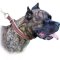 Canine Training Collars: Braided Leather Choke Collar for Cane Corso