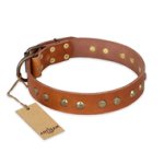 "Spring Flavor" FDT Artisan Adorned Leather Cane Corso Collar with Old Bronze-Plated Engraved Studs
