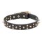 Designer Leather Cane Corso Collar with Stars and Spikes