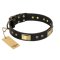 "Black Sun" FDT Artisan Leather Cane Corso Collar with Brass Plated Decorations