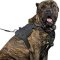 Cane Corso Nylon Dog Harness with Cushion-like Chest Plate