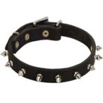 Stylish Leather Dog Collar with One Row Spikes for Cane Corso Breed