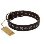 "Stars of Glory" FDT Artisan Brown Leather Cane Corso Collar for Comfortable Walking