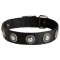 Fashion Nylon Dog Collar with Silver Conchos for Cane Corso Breed Dogs