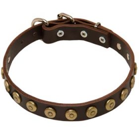Leather Large Collar with Doted Circles for Massive Dog Breeds