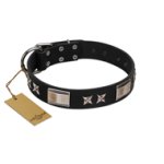 "Pitch Dark" FDT Artisan Black Leather Cane Corso Collar with Stars and Plates