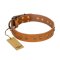 "Autumn Story" FDT Artisan Leather Cane Corso Collar with Old Bronze Look Studs