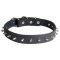 Fashionable Leather Cane Corso Collar with One Row of Spikes for Daily Walking