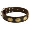 Splendid Vintage Ovals Leather Dog Collar for Cane Corso