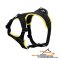 Perfect Fit Black Nylon Harness for Safe and Comfortable Walking