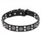 'Galactic Style' Leather Cane Corso Collar with Silver-like Circles and Half-Sphere Studs