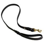 Handcrafted Leather Dog Leash for Walking and Training