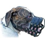 Leather Cage Muzzle for American Bulldog