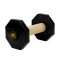 1.4 lbs (650 g) Wooden Cane Corso Training Dumbbell with Removable Weight Plates
