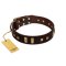 "Choco Delight" FDT Artisan Brown Leather Cane Corso Collar with Old Bronze-like Plates and Studs