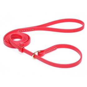 Durable Red Biothane Cane Corso Leash and Collar Combo