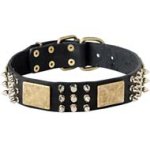 Designer Dog Collar for Large Breed Dogs Like Cane Corso