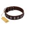 "Spiky Way" FDT Artisan Brown Leather Cane Corso Collar with Silver-Like Decorations