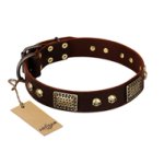 "Magic Amulet" Brown Leather Cane Corso Collar with Skulls and Plates