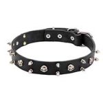 Leather Cane Corso Collar with Skulls and Spikes - 30 mm