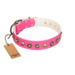 "Pawty Time" FDT Artisan Pink Leather Cane Corso Collar with Decorative Skulls and Brooches