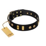 "Rare Dog" FDT Artisan Black Leather Cane Corso Collar with Old Bronze-like Dotted Studs and Tiles