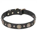 'Magic Necklace' Leather Cane Corso Collar with Brass Conchos and Studs