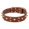 Fashion Leather Cane Corso Collar with Shiny Brass Spikes and Skulls