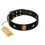 "Star Powder" FDT Artisan Black Leather Cane Corso Collar with Ovals and Stars - 1 1/2 inch Wide