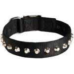 Fashion Wide Nylon Dog Collar With Nickel Pyramids for Cane Corso Breed