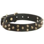 Leather Cane Corso Collar with Brass Pyramids
