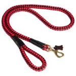 Cord Nylon Dog Leash for Large Dogs Walking, Police Tracking