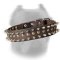 Cane Corso Leather Collar with 1 Row Half-spheres and 2 Rows Spikes