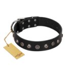 "Black Knight" Handmade FDT Artisan Black Leather Cane Corso Collar with Silver-Like Studs
