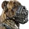 Free Ventilated Dog Muzzle for Cane Corso Breed