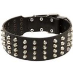 Designer Extra Wide Studded Leather Dog Collar for Cane Corso