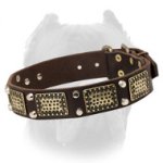 Charming Vintage Leather Cane Corso Collar with Plates and Pyramids