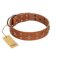"Dreamy Gleam" FDT Artisan Tan Leather Cane Corso Collar Adorned with Stars and Squares
