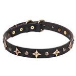 'Milky Way' Leather Cane Corso Collar with Old Bronze-plated Half-ball Studs and Stars