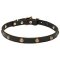 'Elegant Beauty' Leather Cane Corso Collar with Goldish Hardware