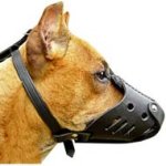 Custom Field Leather Dog Muzzle for Powerful Pitbull Dogs