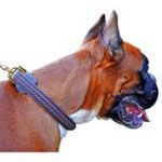 Braided Leather Designer Dog Collar for Strong Boxers