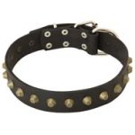 Gorgeous Wide Leather Collar with Pyramids for Cane Corso