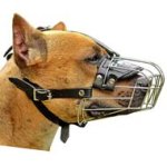 Stylish Wire Cage Dog Muzzle for Wight Pitbulls