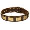 Designer Leather Collar for Cane Corso with Brass Plates