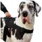All-Weather Nylon Great Dane Dog Harness with All Over Padding
