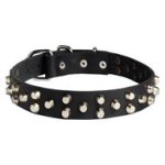 Studded Leather Dog Collar with 3 Rows of Pyramids for Cane Corso